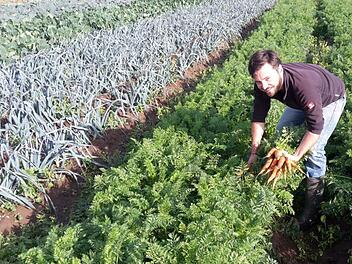 Daniel Singer aus Hausen bei der Arbeit Foto: privat