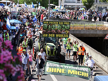 Riesige Anti-Grünen-Demo in Aschaffenburg: Mann zeigt Hitlergruß - Polizei verhindert Eskalation