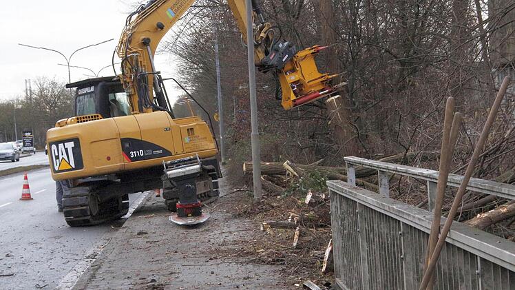 Foto: Josef Hofbauer