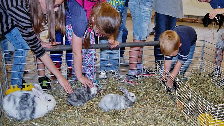 Viel geboten war beim Ferienprogramm der Kleintierzüchter. Foto: Sigismund von Dobschütz