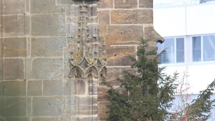 Wildwuchs an der Marienkapelle: Das Bäumchen hat sich ungewollt  in einer Ecke des Friedhofs angesiedelt und soll nun beseitigt werden, weil es die Bausubstanz gefährdet. Eckehard Kiesewetter