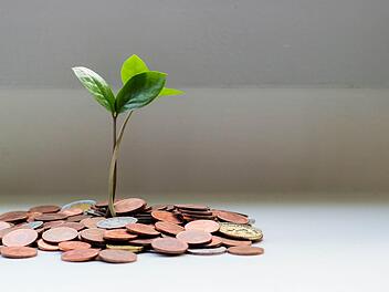 Symbolbild: Geld, Wachstum