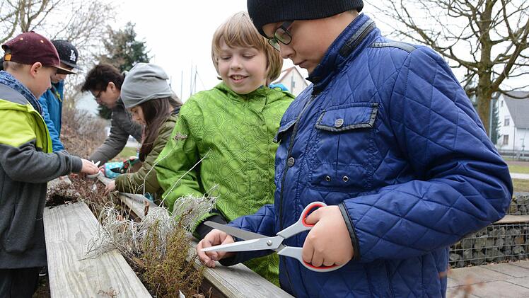 Erster Arbeitseinsatz im Melkendorfer Schulgarten: Die Grundschüler sind mit vollem Einsatz dabei! Foto: Dagmar Besand