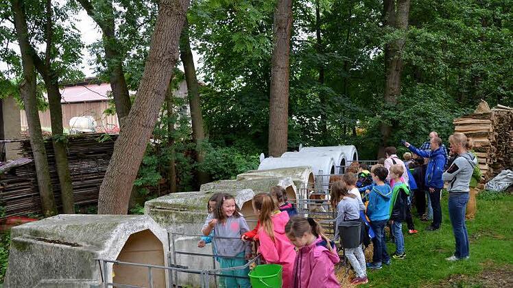 Die "Kinderstube" auf dem Hof. Aufzucht und Pflege der Kälbchen werden gezeigt Foto: Andrea Spörlein