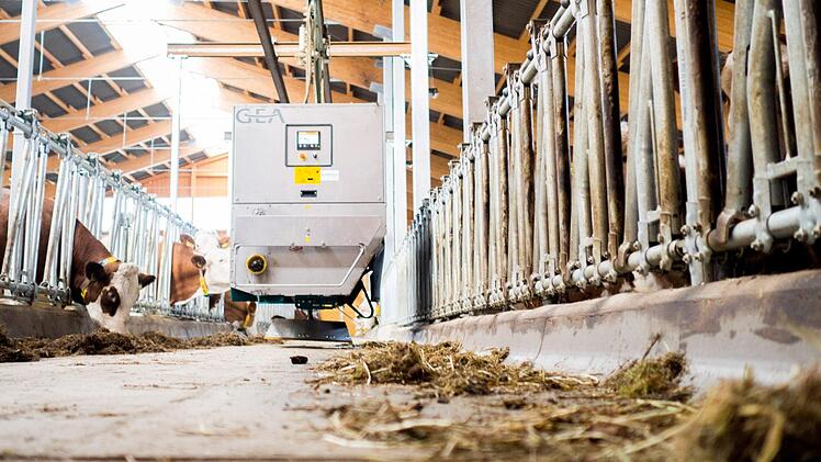 An Schienen befestigt fährt das Fütterungssystem durch den Stall. Foto: Marian Hamacher