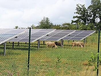 Südlich der A3 bei Weingartsgreuth steht bereits eine Photovoltaikanlage. Bei Lonnerstadt ist die nächste geplant.