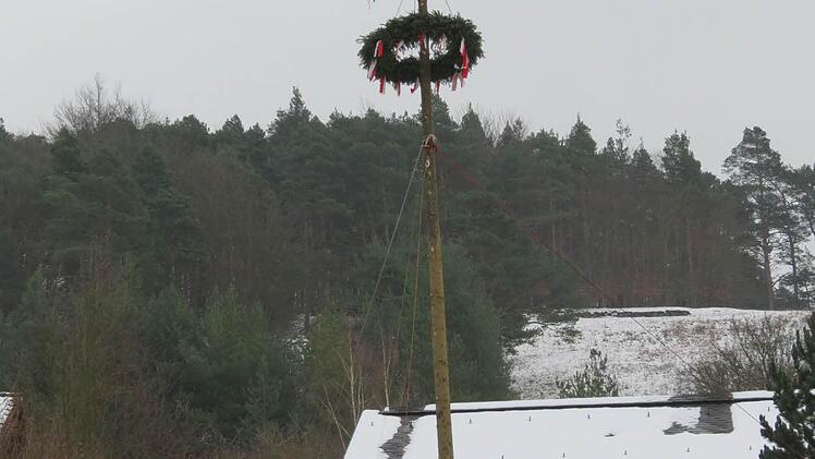 Ein Tross aus mehreren Traktoren brachte die "Bürgermeister"-Bäume an Ort und Stelle. Foto: Doris Bauer