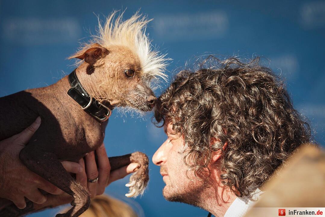 2016 World's Ugliest Dog Contest in California
