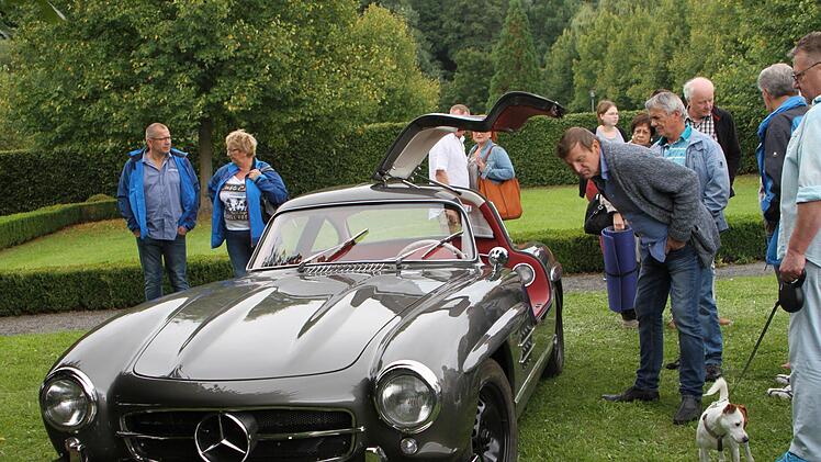 Der Mercedes 300 SL mit 210 PS und Flügeltür gilt als eines der gesuchtesten und teuersten Modelle.
