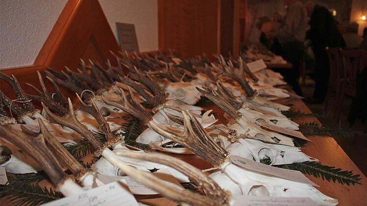 Nach der Veranstaltung wurden die Gehörne wieder eingepackt und heim zu den Jägern gebracht.