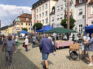 Dank gutem Wetter und einem breiten Marktangebot besuchten zahlreiche Menschen den Markt in der Bad Brückenauer Innenstadt. Foto: Mark Decker