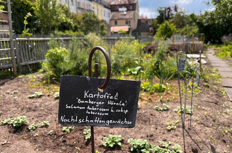 Bamberg: Gärtner- und Häckermuseum lädt zu neuer Ausstellung