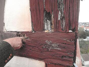 Das Fachwerk am Jörgentor ist derart kaputt, dass Lutz Parisek mit dem  Finger in die Balken eindringen kann. Jetzt muss der Turm notgesichert werden. Dann ist eine Generalsanierung nötig.  Matthias Heuring