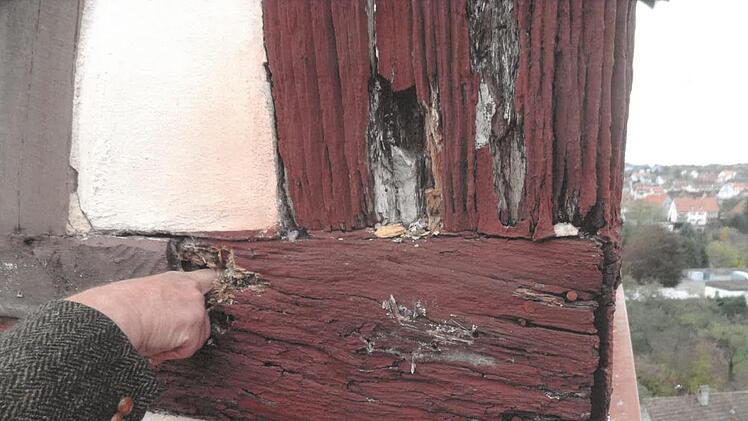 Das Fachwerk am Jörgentor ist derart kaputt, dass Lutz Parisek mit dem  Finger in die Balken eindringen kann. Jetzt muss der Turm notgesichert werden. Dann ist eine Generalsanierung nötig.  Matthias Heuring