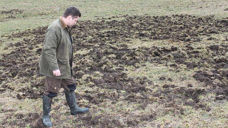 Auf dieser Wiese bei Kronach waren Wildschweine zugange. Foto: Archiv