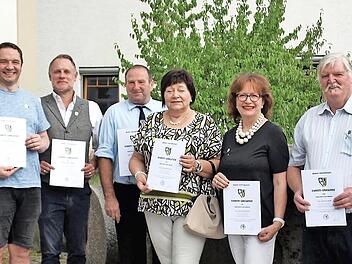Goldene und silberne Nadeln erhielten ehrenamtlich engagierte Bürger. Unser Bild zeigt (von links) Landrat Klaus Löffler, Dritten Bürgermeister Thomas Reißig, Andreas Franz, Frank Hauck, Roland Kuhnlein, Margit Beitzinger, Michaela Mattes, Werner ...