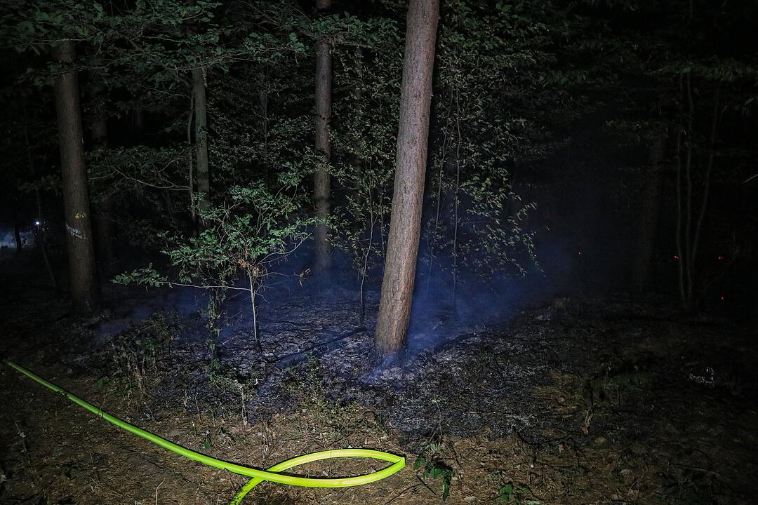 Munition detoniert bei nächtlichem Waldbrand