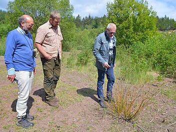 Siegfried Weid, Tobias Mehling und Frank Reißenweber (von links) betrachten einen Weidenstock in der roten Grube der Muggenbacher Tongruben, der von Ziegen stark abgefressen worden ist. Fotos: Rainer Lutz