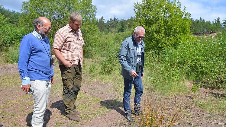 Siegfried Weid, Tobias Mehling und Frank Reißenweber (von links) betrachten einen Weidenstock in der roten Grube der Muggenbacher Tongruben, der von Ziegen stark abgefressen worden ist. Fotos: Rainer Lutz
