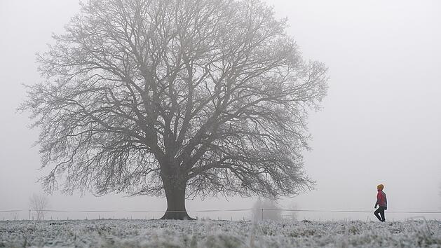 Kaum Niederschlag, aber daf&uuml;r viel Nebel: Das fr&auml;nkische Wetter wird in den n&auml;chsten Tagen ziemlich ungem&uuml;tlich.