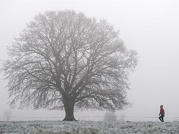 Kaum Niederschlag, aber dafür viel Nebel: Das fränkische Wetter wird in den nächsten Tagen ziemlich ungemütlich.