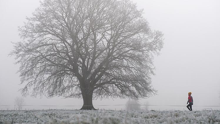 Kaum Niederschlag, aber dafür viel Nebel: Das fränkische Wetter wird in den nächsten Tagen ziemlich ungemütlich.