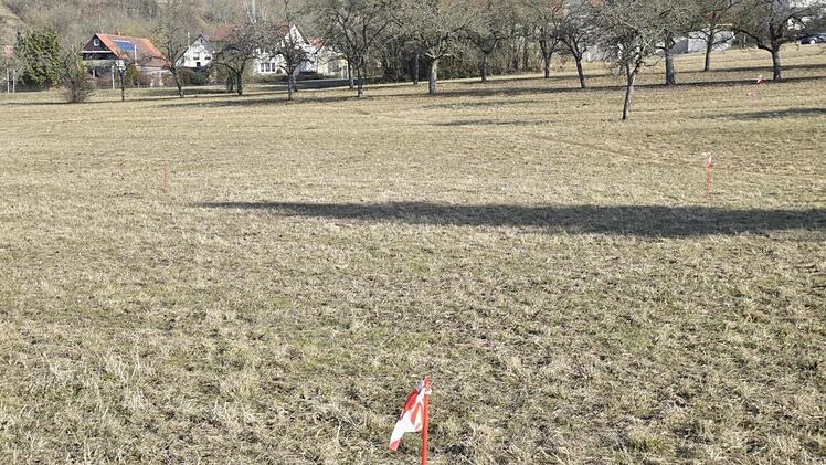 Auf dieser Fläche im Bereich "Neue Straße, Briegelstraße, Lauerbach" in Königsberg soll das neue Altenheim gebaut werden.  Foto: Gerold Snater
