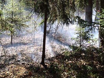 Symbolfoto: News5 / Goppelt