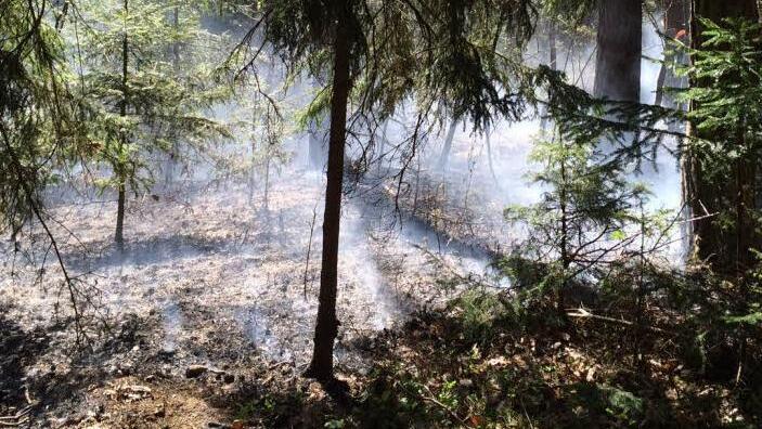 Symbolfoto: News5 / Goppelt