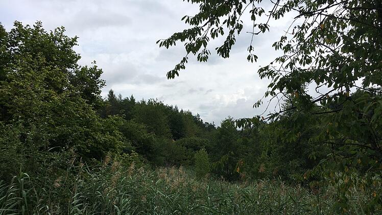 Das ist vom Unteren Haussee übrig geblieben.