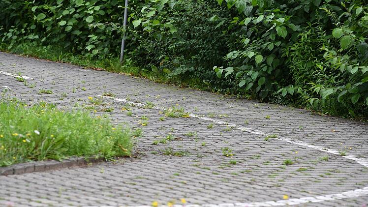 Foto: Ronald Rinklef
