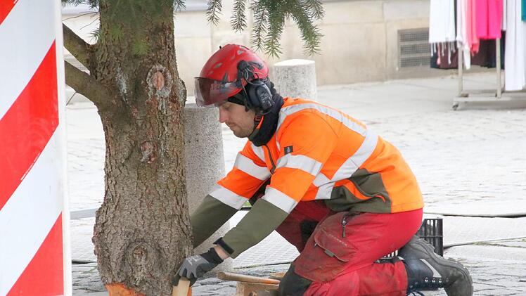 Der Baum wird verankert. Foto: Josef Hofbauer