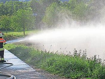 Bei der Übung mussten die Feuerwehrleute die Schläuche über eine lange Strecke ausrollen. Foto: privat