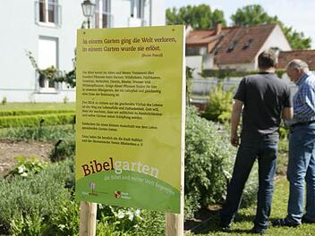 Erlebbare Zugänge zu Inhalten der Bibel schaffen, das ist das Ziel des Vereins "Bibelwelten". Ein Angebot dazu ist der Bibelgarten neben dem Unteren Turm in Haßfurt.