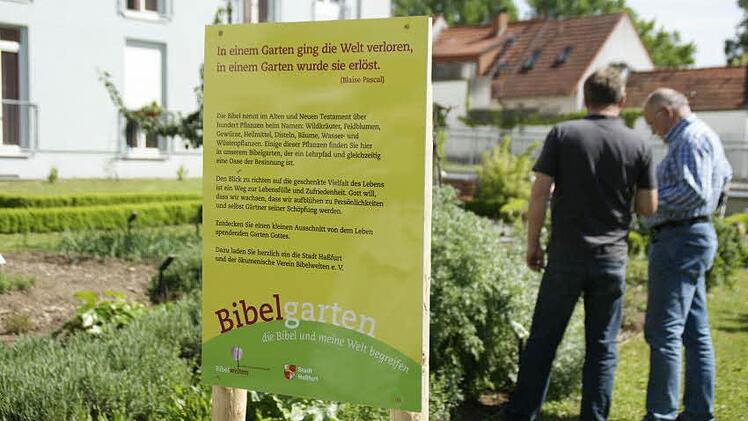 Erlebbare Zugänge zu Inhalten der Bibel schaffen, das ist das Ziel des Vereins "Bibelwelten". Ein Angebot dazu ist der Bibelgarten neben dem Unteren Turm in Haßfurt.