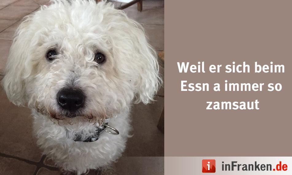 Foto: Franke-bbg