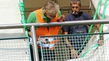 Ein Mitarbeiter der Bauverwaltung begutachtet die Sanierungsarbeiten.