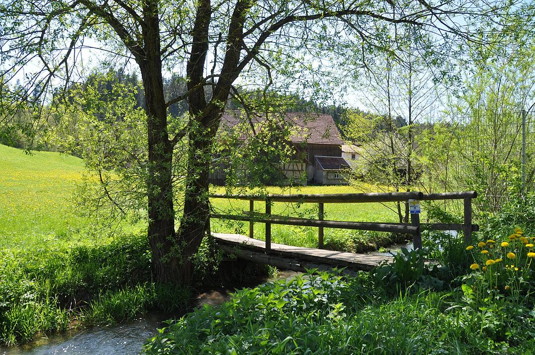 Impressionen aus der Fränkischen Schweiz. Foto: KlausRoesch/infrankenpix