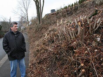 Hermann Ehreiser an dem Hang in der Heinrich-Taubenreuther-Straße. "Kein schöner Anblick" für den Fölschnitzer. Fotos: Jürgen Gärtner