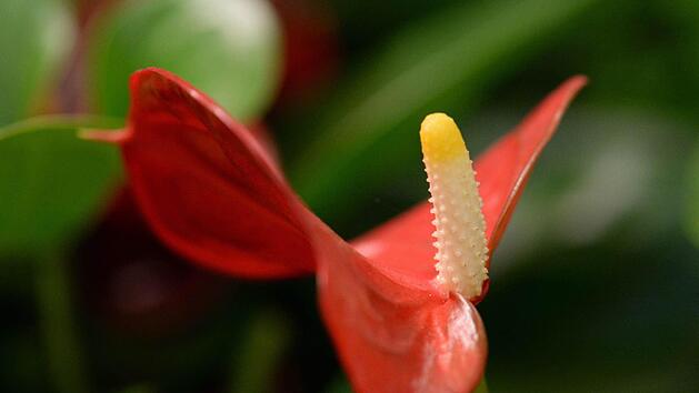 Foto: Andrea Warnecke