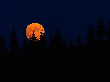 Besonderes astronomisches Ereignis im Juni: Der Erdbeermond