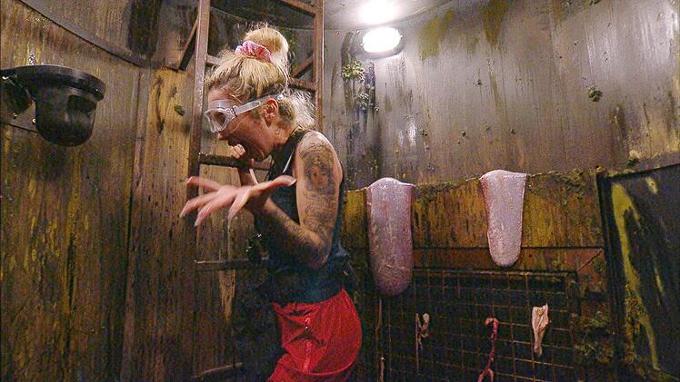 Ariel kreischt sich durch die Pr&uuml;fung - und verpatzt so die M&ouml;glichkeit, Sterne zu ergattern.