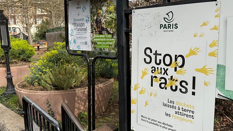 Wahlkampf in Paris - Millionen Ratten sorgen f&uuml;r Streit