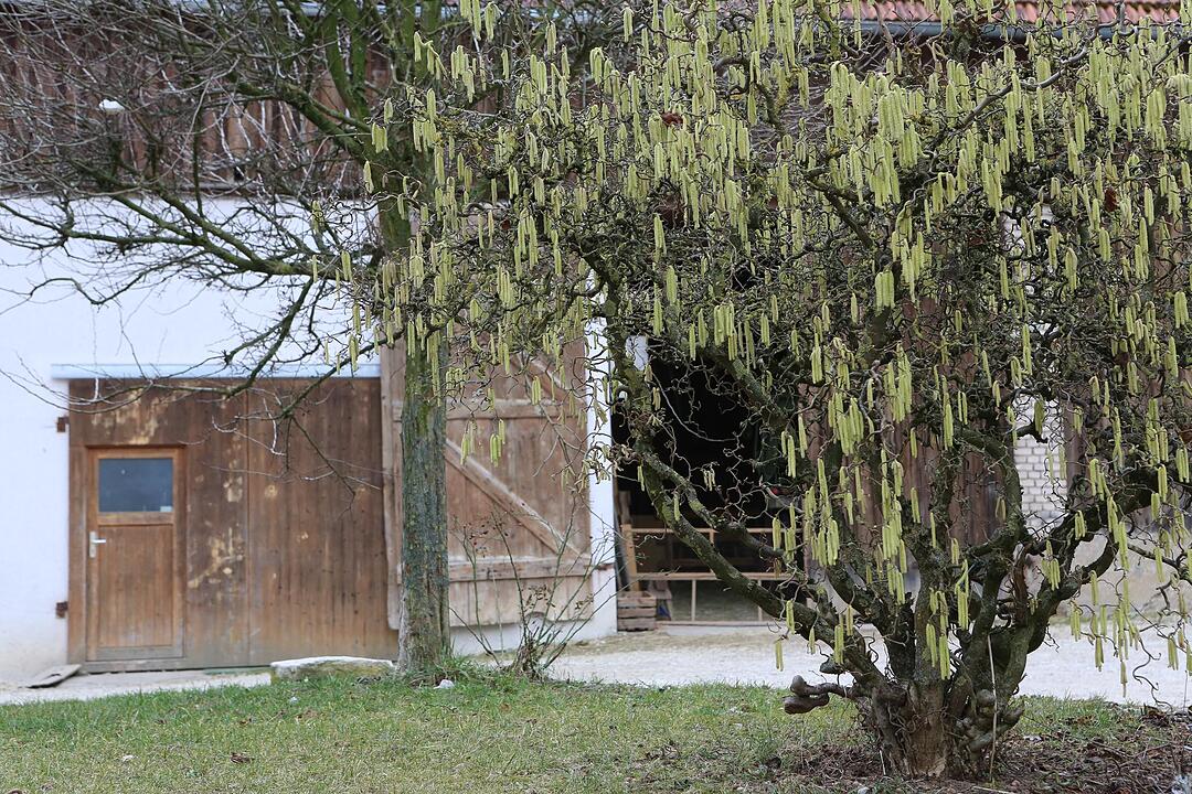 SoS; Neuses-Poxstall; Gemeindeseite; Foto: Barbara Herbst