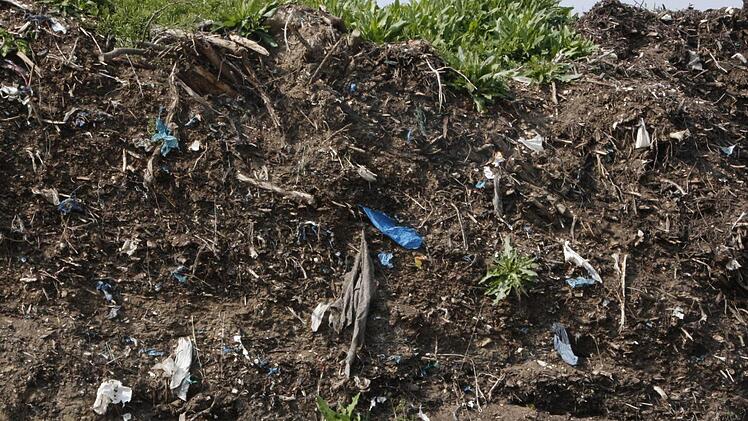 Teilweise ist bereits Gras über die Abfälle gewachsen. Foto: Josef Hofbauer