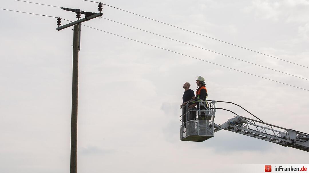 Katze Molli löst Feuerwehreinsatz aus
