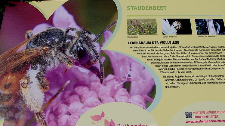 Auch solche Informationstafeln werden an den Blühflächen für die Spaziergänger aufgestellt.