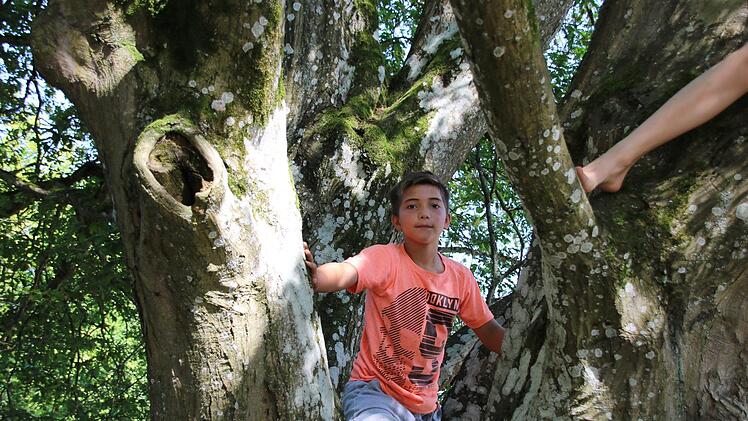 Eindrücke vom Spielplatz im Bad Brückenauer Schlosspark. Foto: Ralf Ruppert