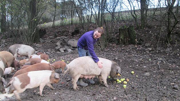 &Uuml;ber gl&uuml;ckliche  Schweine in der Freilandhaltung freuen sich die Tiere und die Landwirtin.  Foto: Winfried Ehling
