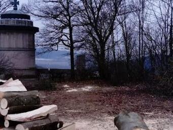 Alte und gesunde Bäume, die weit entfernt vom Kriegerdenkmal waren, wurden gefällt. Darüber regten sich einige Bürger auf. Foto: privat